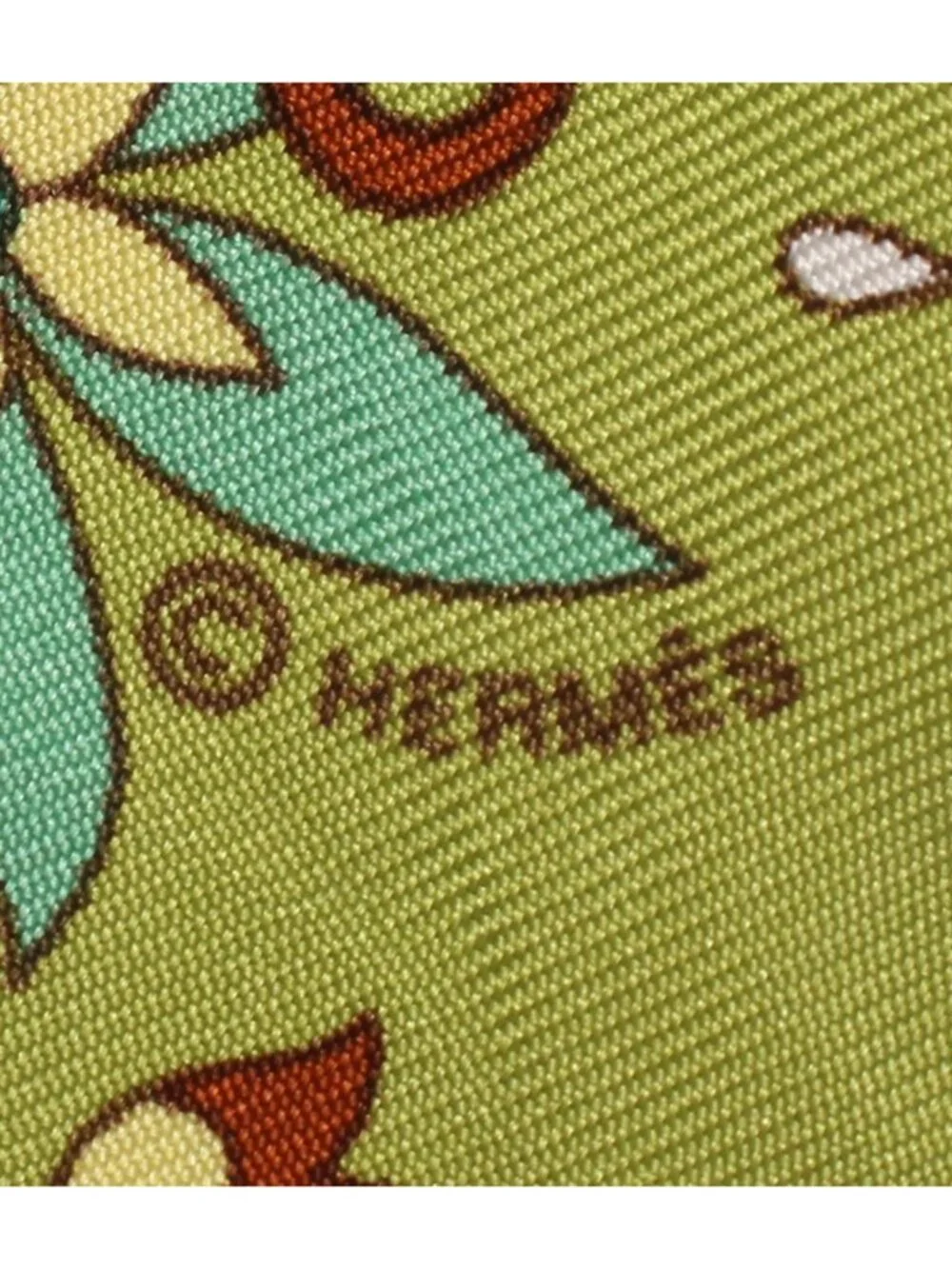 Hermes Scarf Silk 100% Monsoon Garden